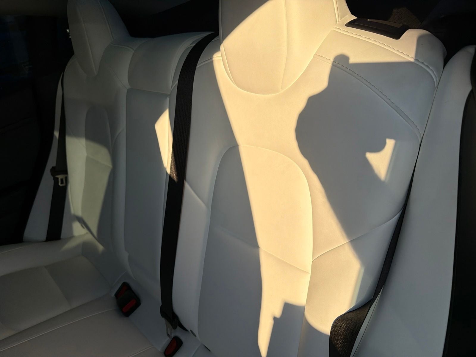 2023 Tesla Model 3 Long Range Dual Motor All-Wheel Drive