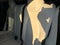 2023 Tesla Model 3 Long Range Dual Motor All-Wheel Drive
