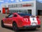 2010 Ford Mustang Shelby GT500