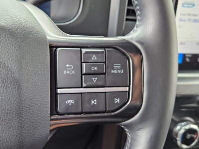 2025 Ford F-250 Platinum