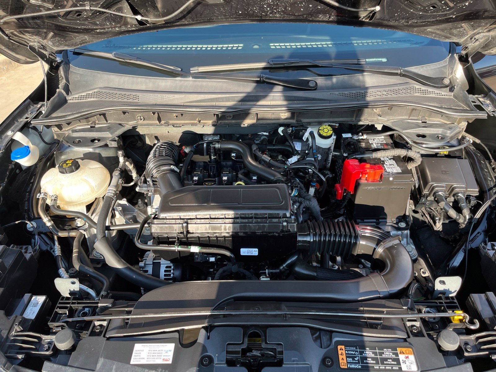 2023 Ford Escape ST-Line